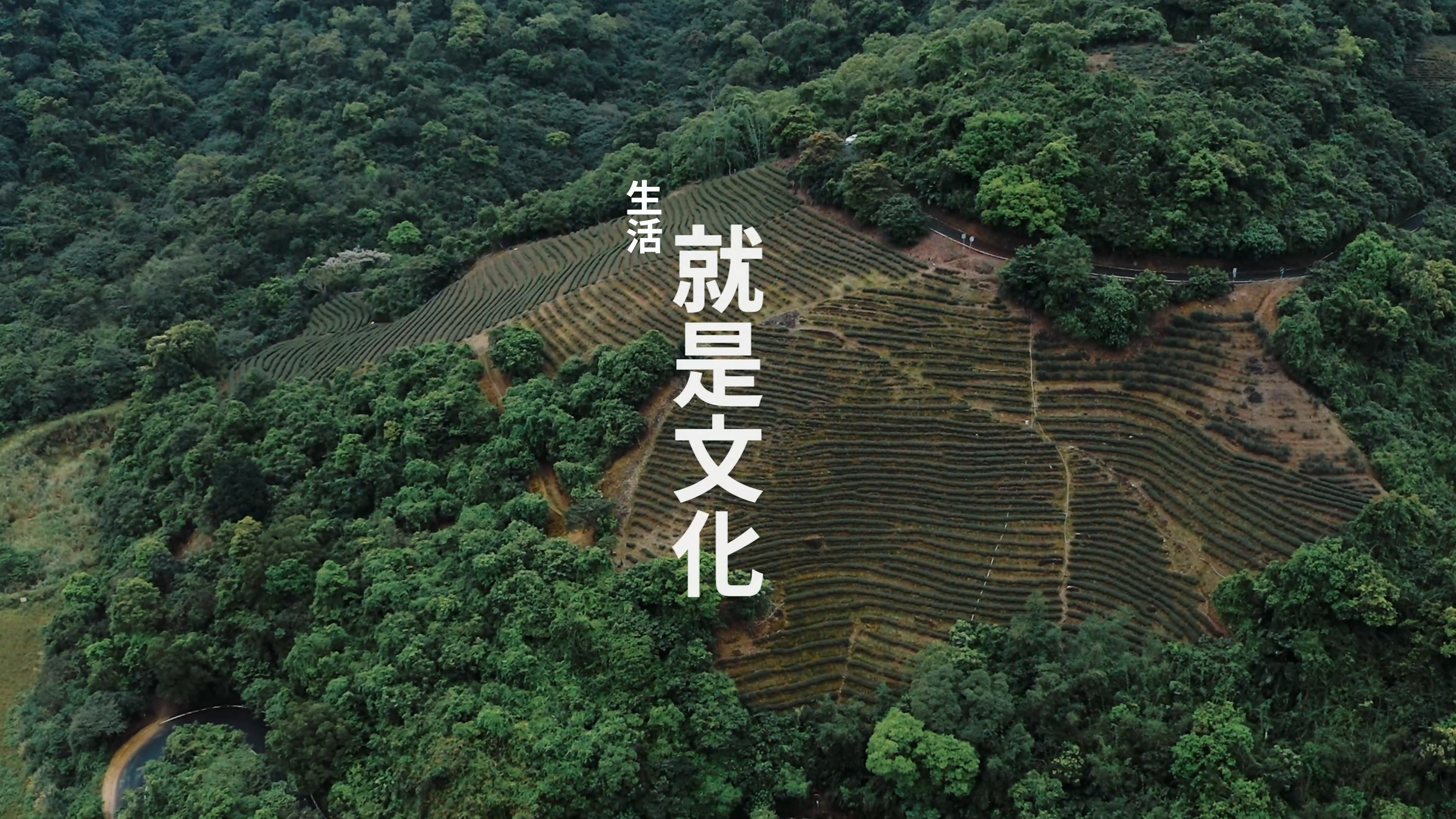 【形象影片】正福茶園形象